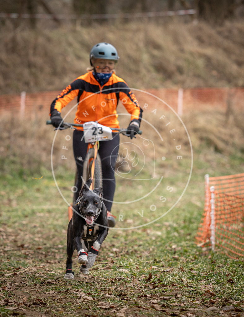 Pfotenfotografie_DV3A7268 | Hundefotografie, Tierfotograf, Pfotenfotografie, Fotoshooting Hund, Hunde Portrait, Hundesport, Hundeportraits, Heideshooting, Hunde, Sportfotograf, Hundefotograf, Turnierhundsport, THS,  - Realisiert mit Pictrs.com