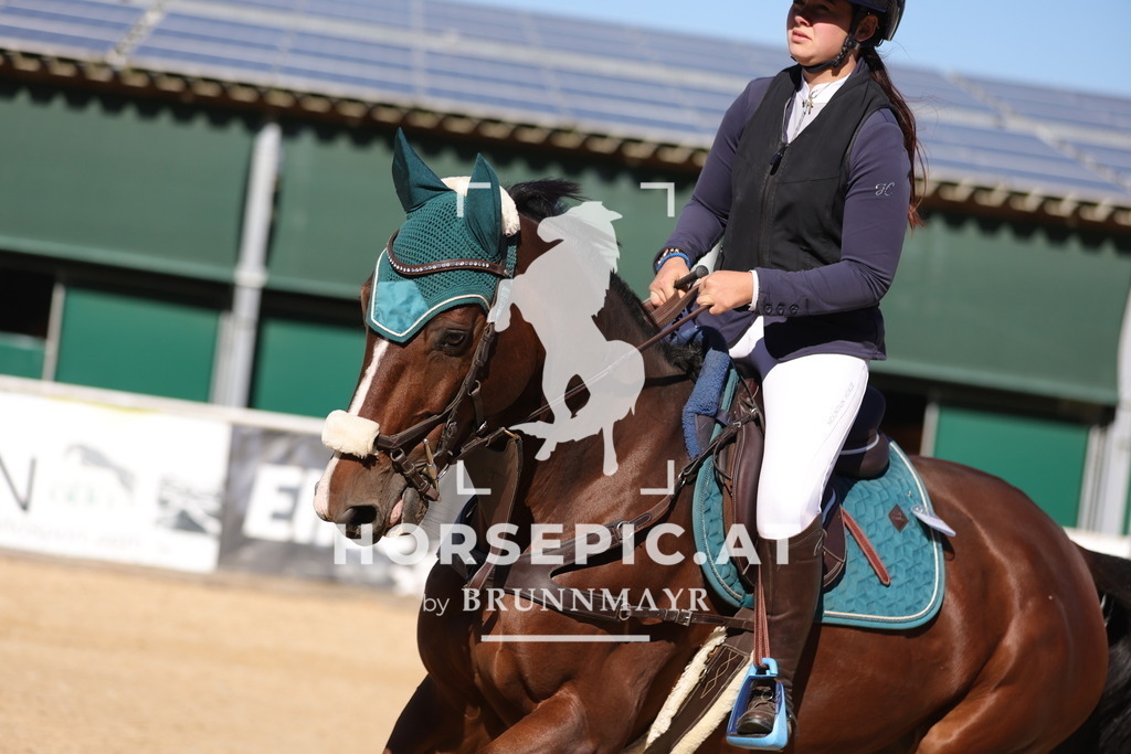 0P6A0793 | Willkommen bei Brunnmayr - Design & Fotografie – Ihrem Spezialisten für Reitturniere und Pferdeveranstaltungen in Oberösterreich, Salzburg und Bayern! Seit über 17 Jahren sind wir leidenschaftlich dabei.