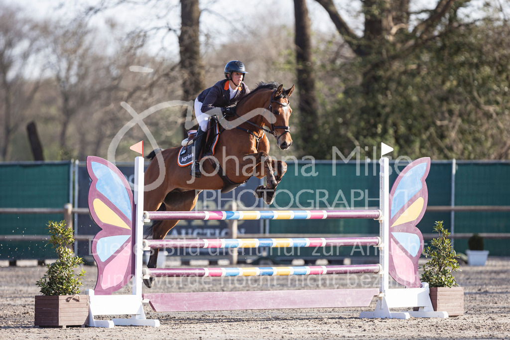250408_Mühlen_SprPf-M-541 | Deine schönsten Turniermomente als professionelle Fotos! Entdecke hochwertige Pferdesport-Fotografie im Online-Shop. Jetzt Fotos finden & bestellen!