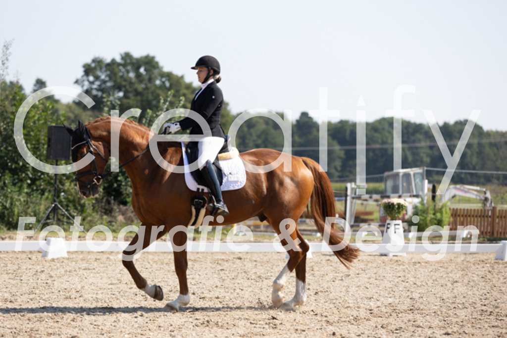 IMG_4706 | Creatify Fotografie