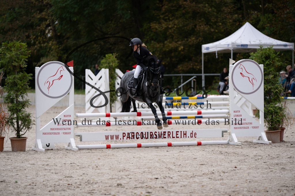 A7V09696 | Pferdefotograf