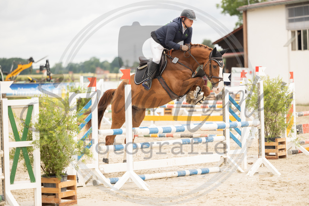 994A0235 | sabrinanicolaifotografie - Realisiert mit Pictrs.com