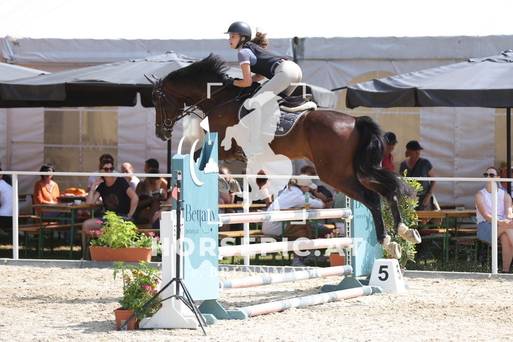 0P6A8630 | Willkommen bei Brunnmayr - Design & Fotografie – Ihrem Spezialisten für Reitturniere und Pferdeveranstaltungen in Oberösterreich, Salzburg und Bayern! Seit über 17 Jahren sind wir leidenschaftlich dabei.