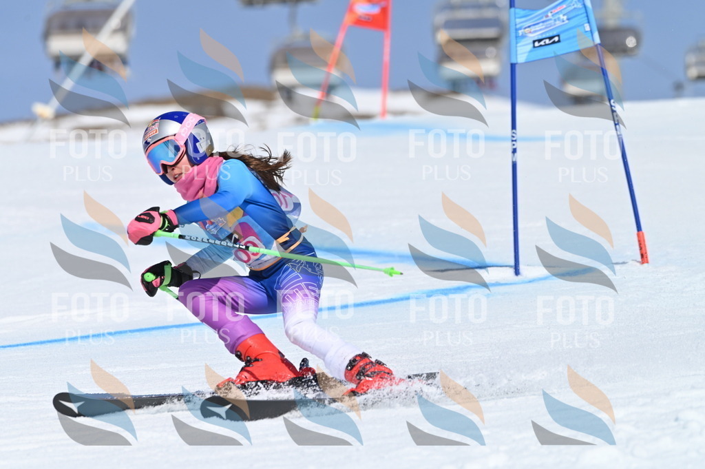 BGV_9627 | holidayphoto