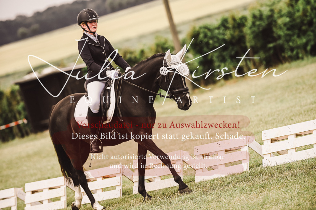 DSC_4792 | Pferde- und Turnierfotografie in Westsachsen. Pferdeportraits, Auftragszeichnungen und intuitive Kunst.