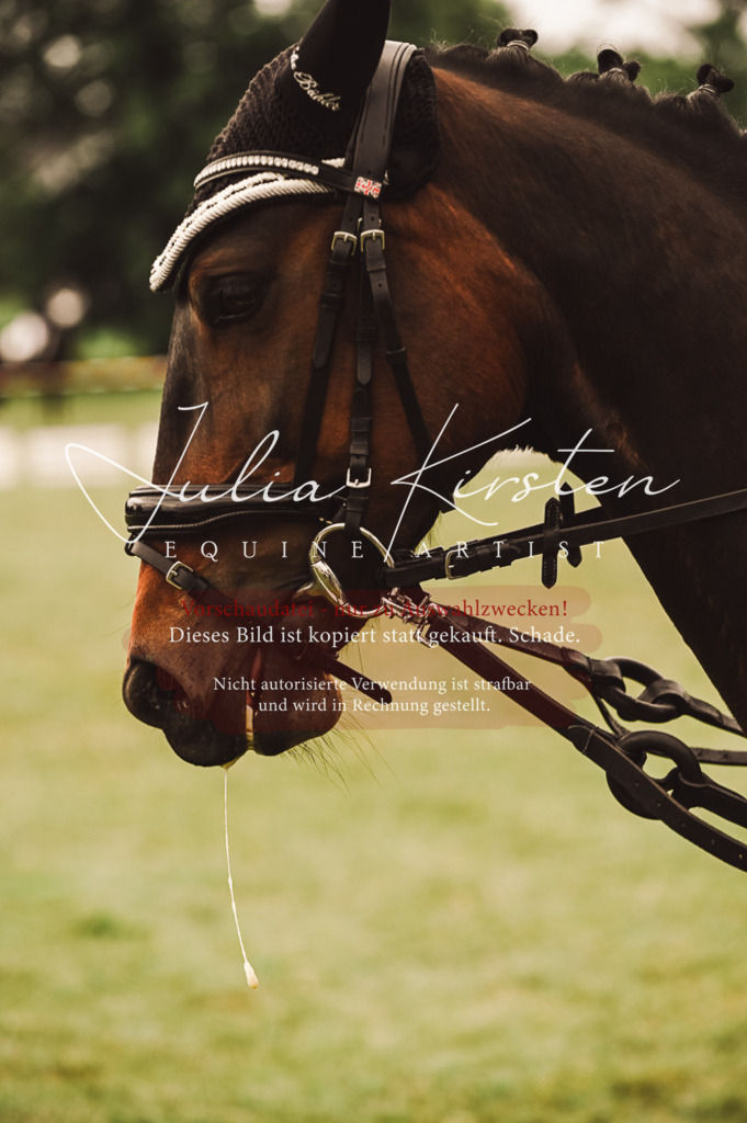 DSC_4934 | Pferde- und Turnierfotografie in Westsachsen. Pferdeportraits, Auftragszeichnungen und intuitive Kunst.
