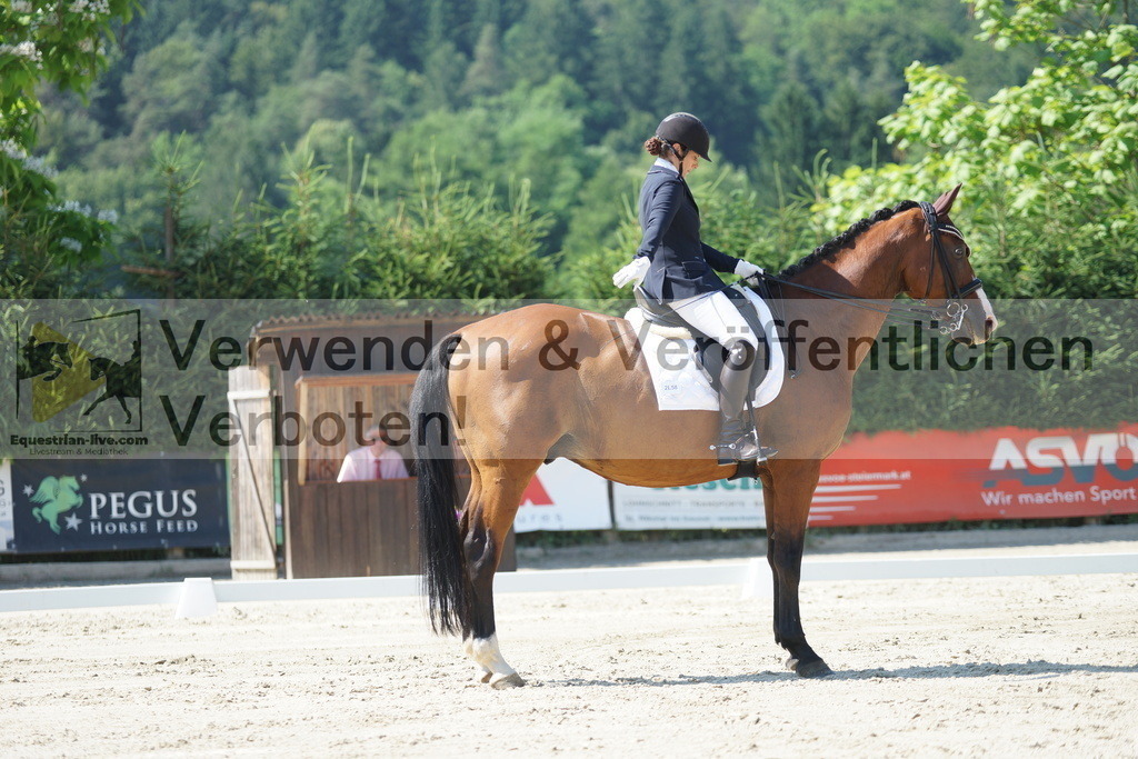 DSC02355 | equestrian-live-com