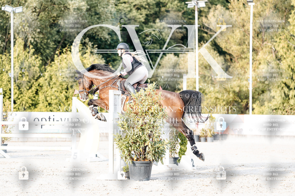 CK903431 | Turnierfotografie Pferdefotografie Trier Rheinland-Pfalz Pferdesport Reitsport Tierfotografie Sportfotografie Pferdevideo Pferdevideografie Equestrianvideography equestrianphotography  - Realisiert mit Pictrs.com