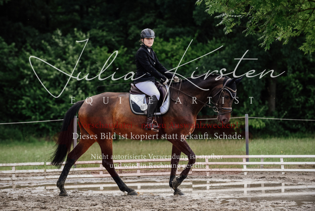 DSC_0760 | Pferde- und Turnierfotografie in Westsachsen. Pferdeportraits, Auftragszeichnungen und intuitive Kunst.