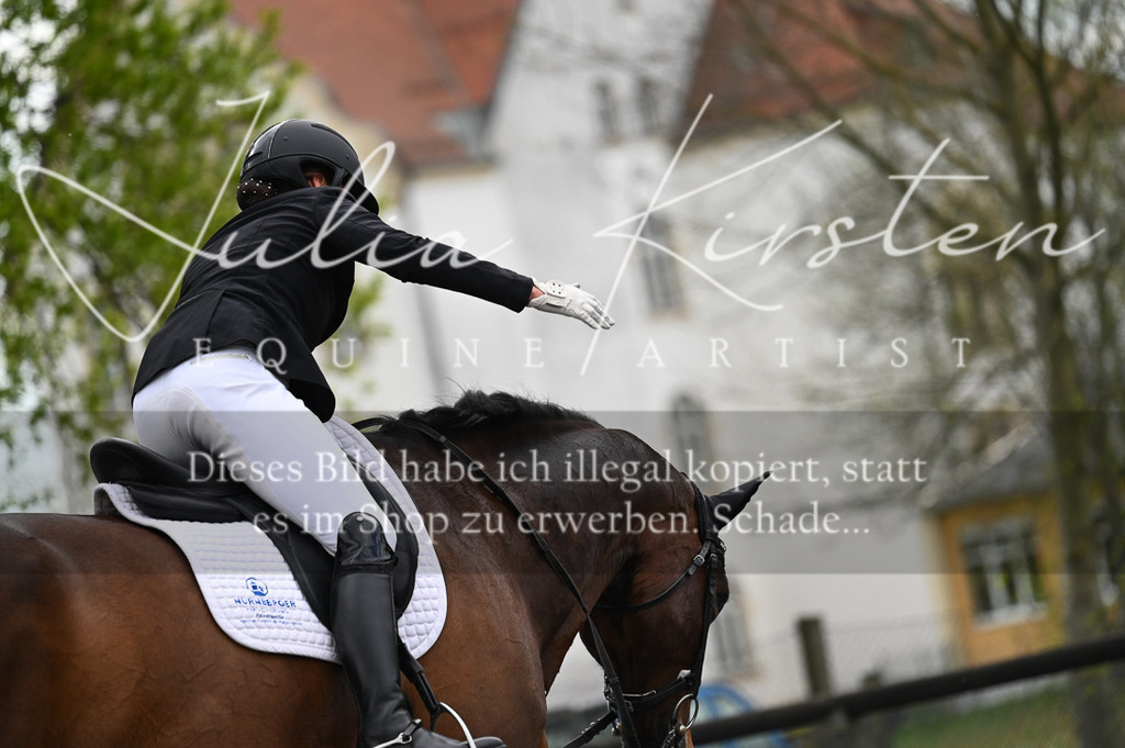 20230512_JK-Röhrsdorf-08-050 | Pferde- und Turnierfotografie in Westsachsen. Pferdeportraits, Auftragszeichnungen und intuitive Kunst.