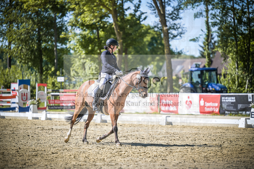 DOS_1949 | Entdecke hochwertige Reitturnierfotos von Foto Oger. Professionell, emotional und authentisch – jetzt Lieblingsmomente im Shop bestellen.Deutschlandweite Turnierfotografie. - Realisiert mit Pictrs.com