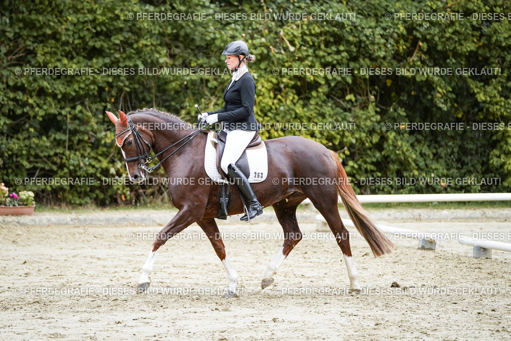 DSC09779 | Pferdegrafie