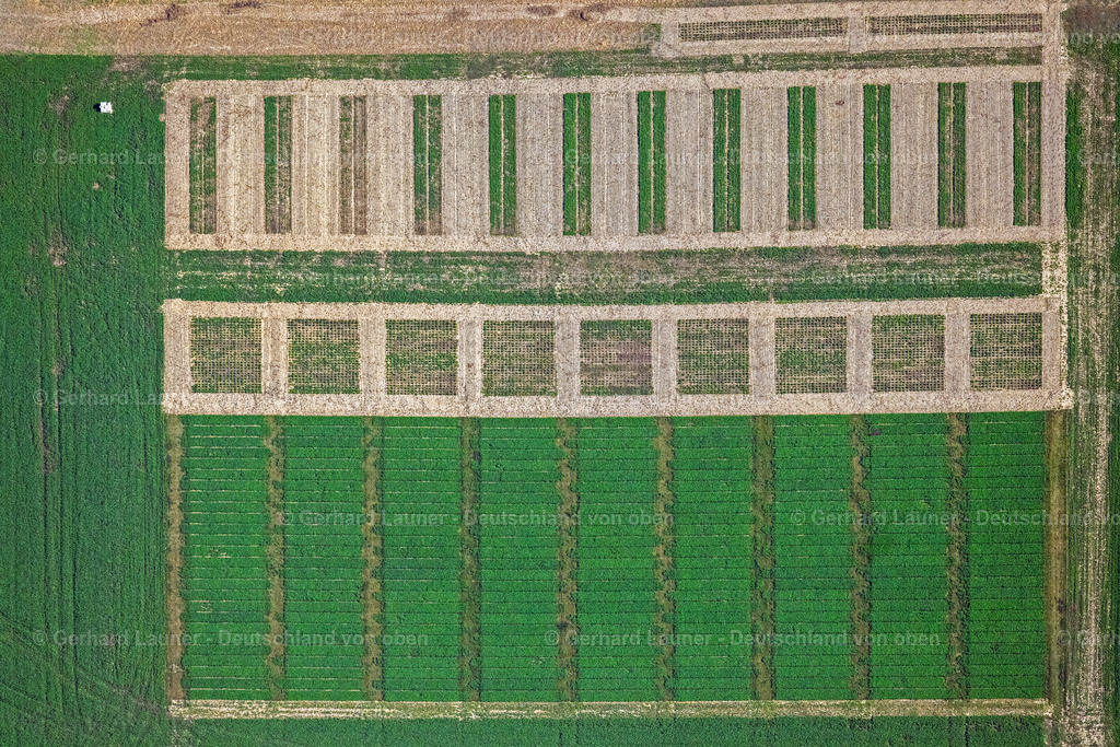 4062148 | INSEL POEL 08.09.2021 Senkrecht- Luftbild aus der Satelliten- Perspektive vom Strukturen auf landwirtschaftlichen Feldern auf der Insel Poel an der Ostseeküste im Bundesland Mecklenburg-Vorpommern, Deutschland. // Vertical aerial view from the satellite perspective of the structures on agricultural fields auf of Insel Poel at the baltic coast in the state Mecklenburg - Western Pomerania, Germany. Foto: Gerhard Launer