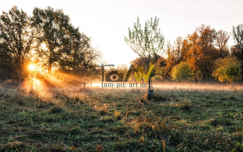 Mystischer Sonnenaufgang bei Schloss Solitude | Hochauflösende und hochwertige Bilder und Fotos.Kommerzielle oder private Nutzung ✔ Bilder downloaden✔ Acryl ✔ Leinwand ✔ Poster ✔
 - Realisiert mit Pictrs.com