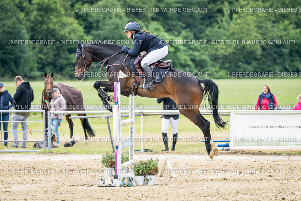 DSC05073 | Pferdegrafie