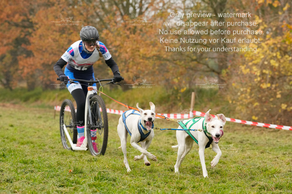 Visbeck_Sa_DS2DR2-24 | stephaniefillaphotographie - Realisiert mit Pictrs.com