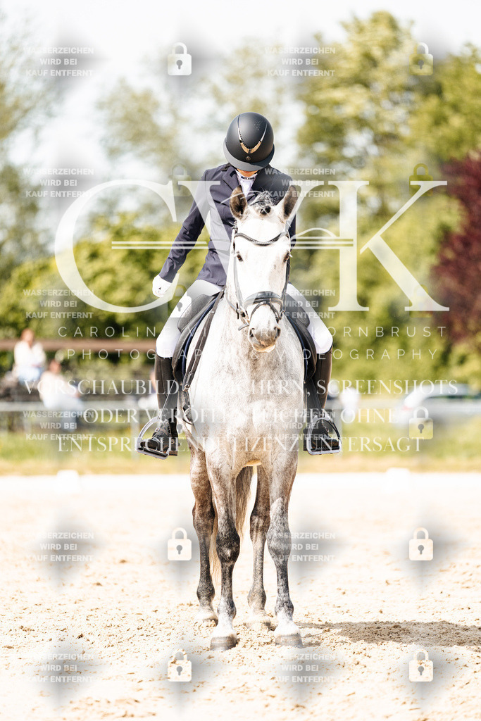CK901633 | Turnierfotografie Pferdefotografie Trier Rheinland-Pfalz Pferdesport Reitsport Tierfotografie Sportfotografie Pferdevideo Pferdevideografie Equestrianvideography equestrianphotography  - Realisiert mit Pictrs.com