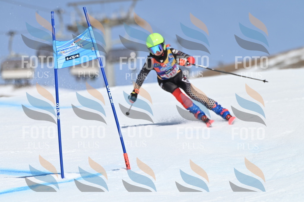 BGV_9638 | holidayphoto