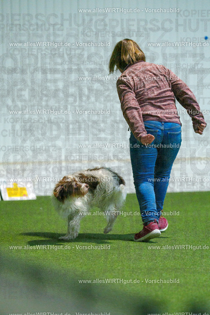 7R502267 | Professionelle Tierfotografie in Mönchengladbach von Daniel Wirth (allesWIRTHgut). Liebevolle & natürliche Bilder von Hunden & Katzen für unvergessliche Erinnerungen.