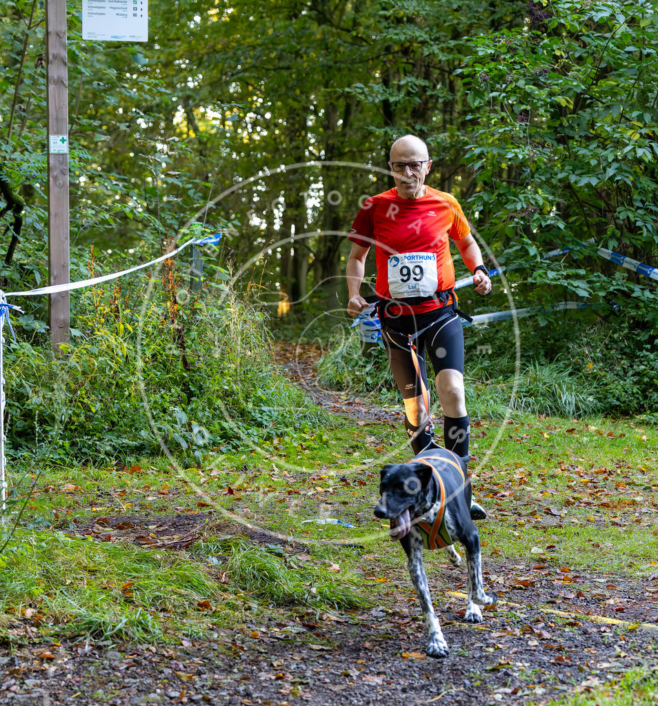 Pfotenfotografie_DV3A6887 | Hundefotografie, Tierfotograf, Pfotenfotografie, Fotoshooting Hund, Hunde Portrait, Hundesport, Hundeportraits, Heideshooting, Hunde, Sportfotograf, Hundefotograf, Turnierhundsport, THS,  - Realisiert mit Pictrs.com