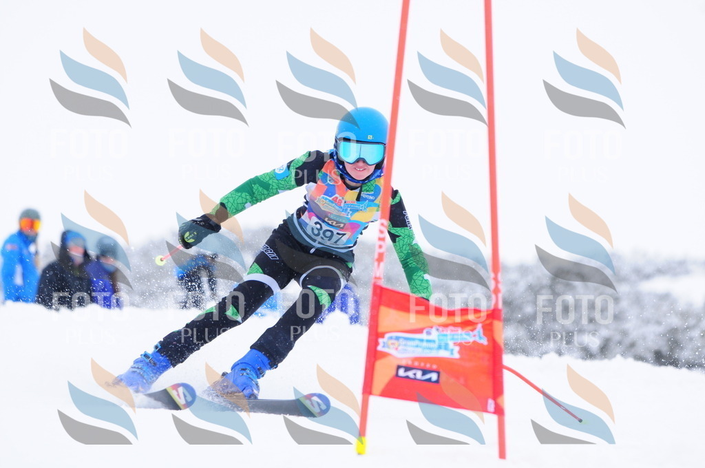 C4205 | holidayphoto