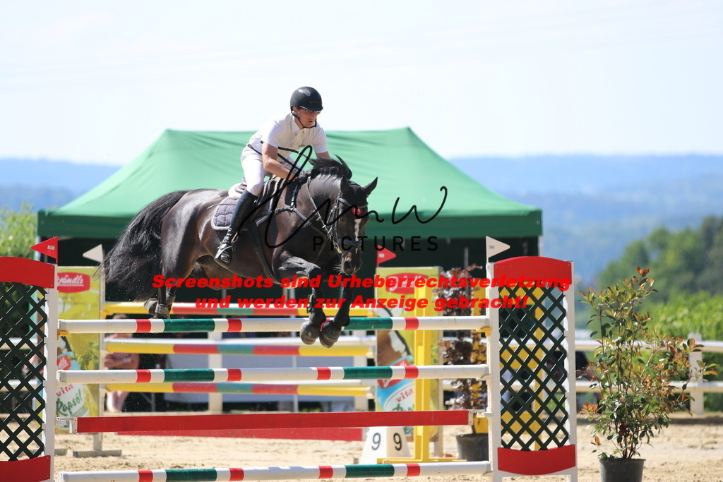 IMG_2820 | lmwpictures - Realisiert mit Pictrs.com