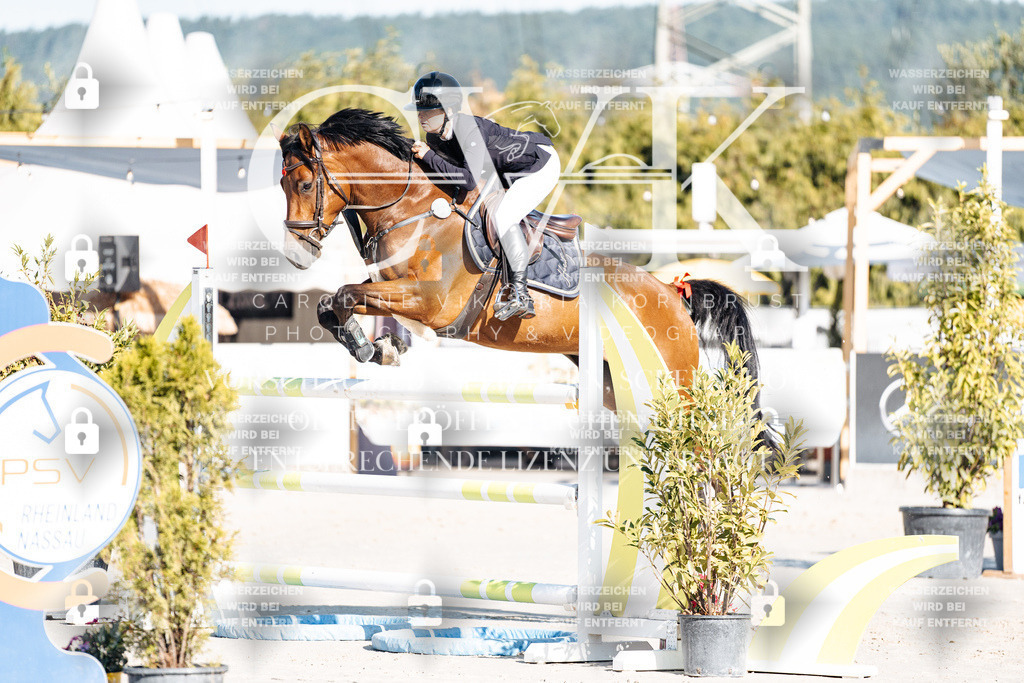 CK904298 | Turnierfotografie Pferdefotografie Trier Rheinland-Pfalz Pferdesport Reitsport Tierfotografie Sportfotografie Pferdevideo Pferdevideografie Equestrianvideography equestrianphotography  - Realisiert mit Pictrs.com