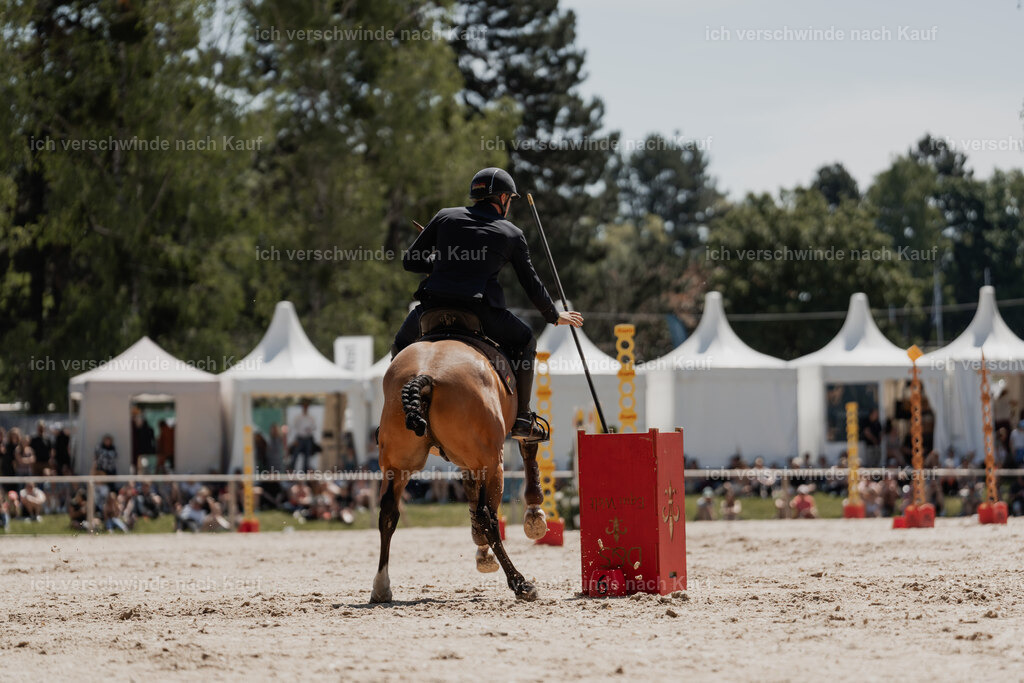 WE_SP_Stoib_311_PI2025_1669 | Pferd International München 2025