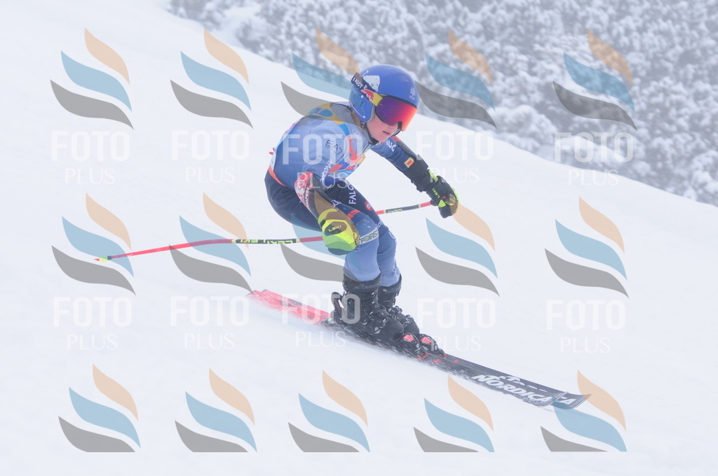 C2374 | holidayphoto