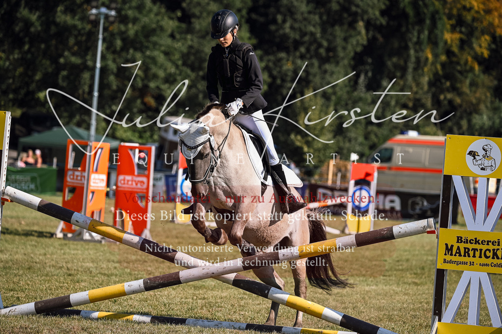 DSC_5242 | Pferde- und Turnierfotografie in Westsachsen. Pferdeportraits, Auftragszeichnungen und intuitive Kunst.