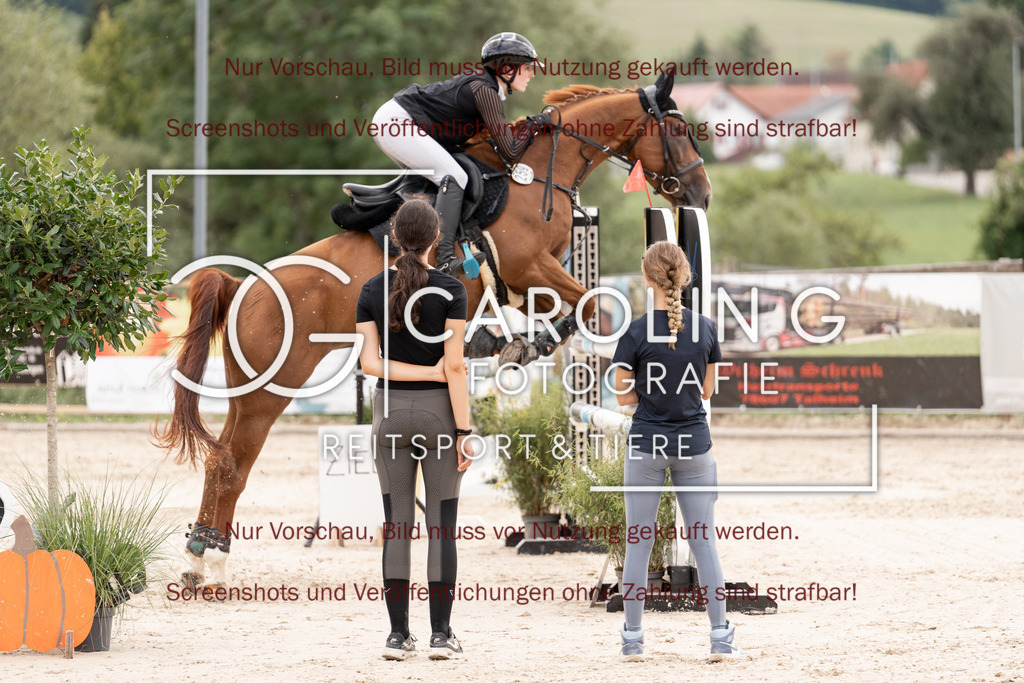 DSC06745 | Springturnier_Teamchallege_Talheim_2026, Lara-Sophie_Strom, Nectarine_V.D.Wart