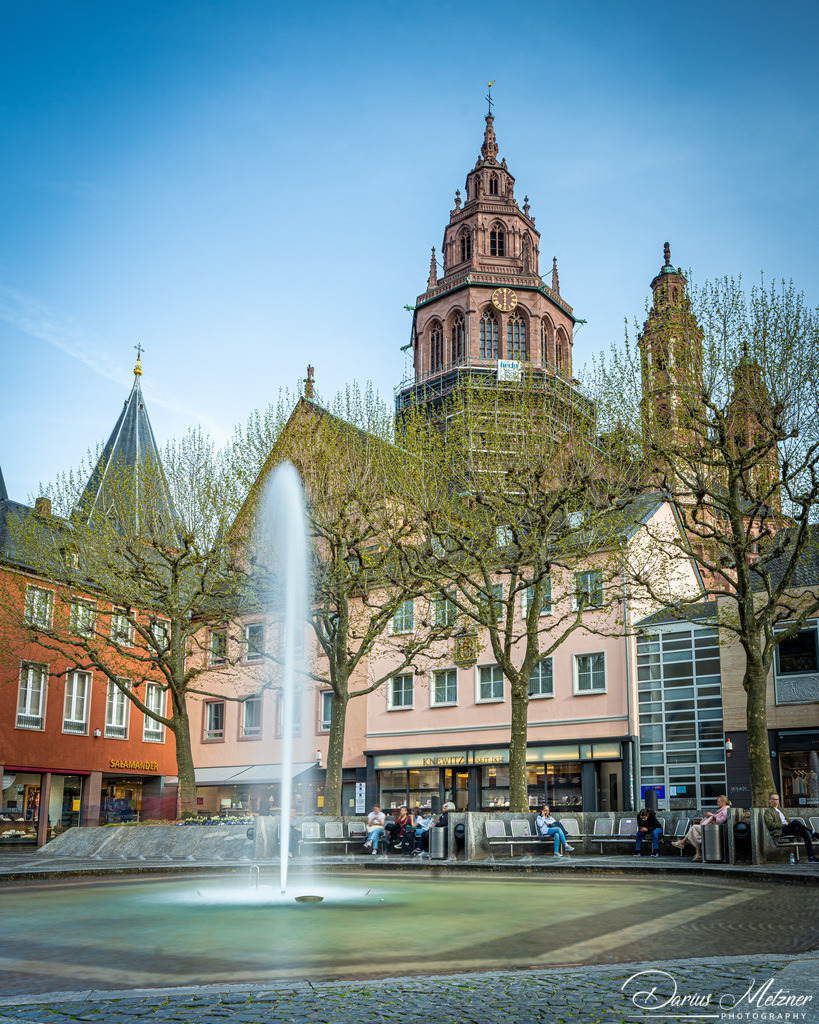_DSC6990 | Fotografien, Fotos und Bilder aus Mainz, Frankfurt, Wiesbaden und anderen Orten auf der Welt - Fotografiert von Darius Metzner