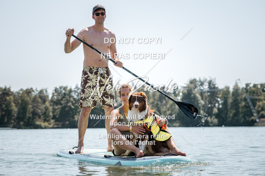 nelerasche_saSUP2_208 | nelerasche