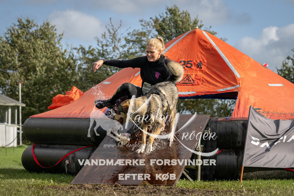 1419-93931 | kk-dogfotos