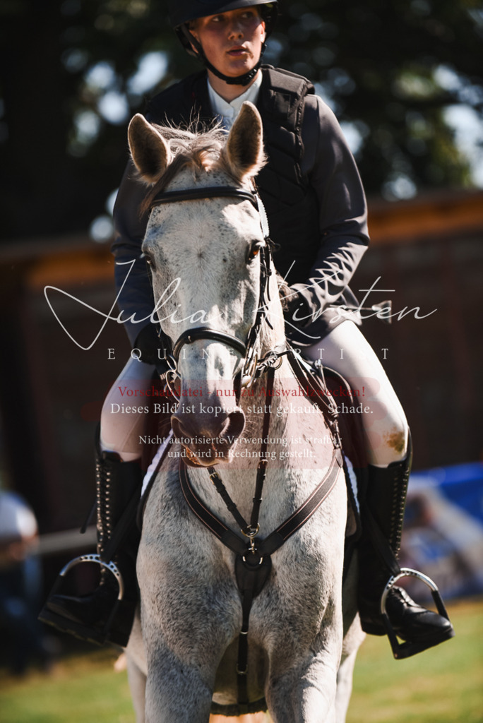 DSC_2544 | Pferde- und Turnierfotografie in Westsachsen. Pferdeportraits, Auftragszeichnungen und intuitive Kunst.
