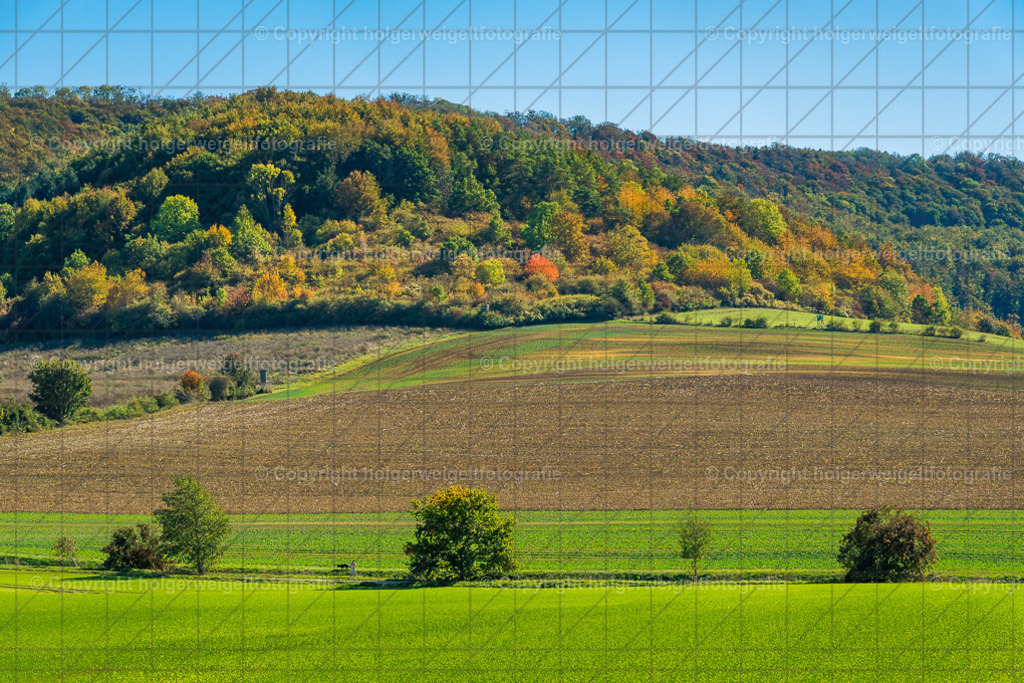 Herbstlandschaft Eichsfeld | Kaufen sie online außergewöhnliche Fotografien auf Leinwand Acrylglas Fotoprint Aludibond von holgerweigeltfotografie - Realisiert mit Pictrs.com