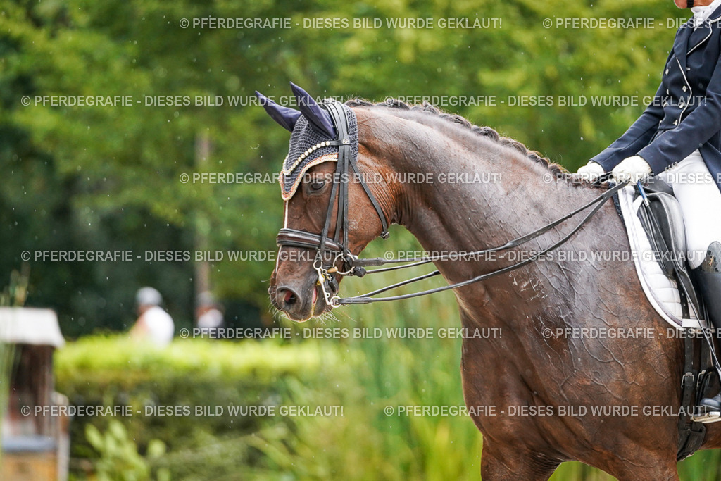 DSC07905 | Pferdegrafie