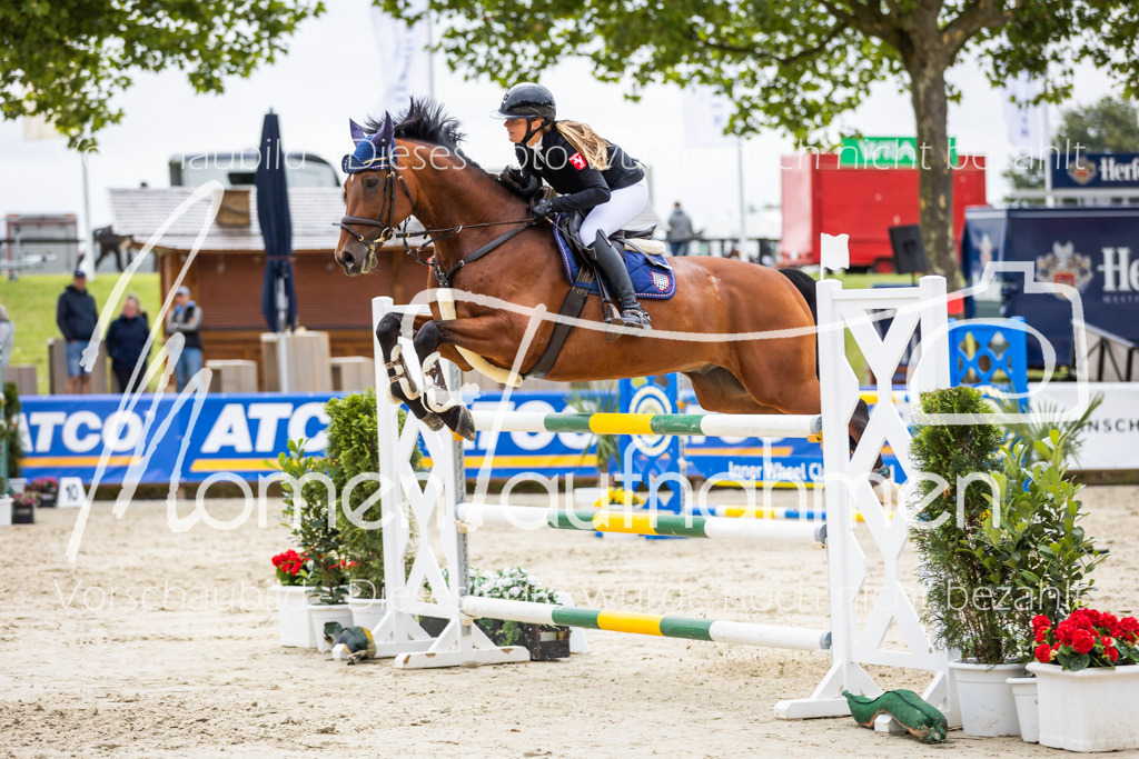 BHO-2PhSpr-M-342 | MomenTaufnahmen Pferdesportfotos