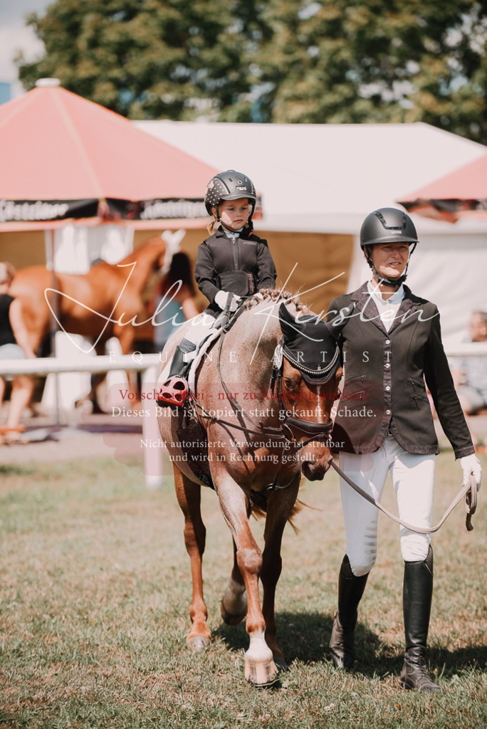 DSC_6257 | Pferde- und Turnierfotografie in Westsachsen. Pferdeportraits, Auftragszeichnungen und intuitive Kunst.