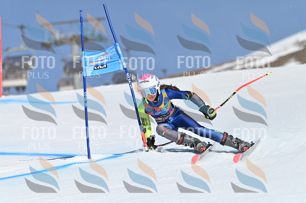 BGV_8807 | holidayphoto