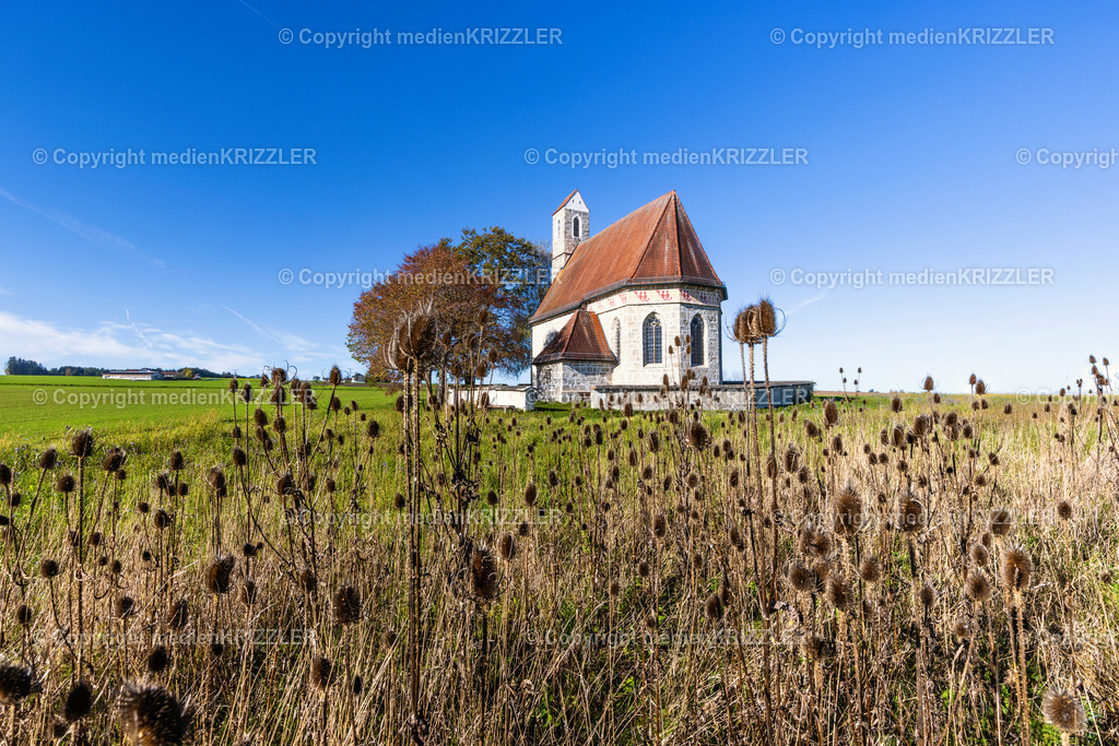 _J3A8933 | medienkrizzler - Realisiert mit Pictrs.com