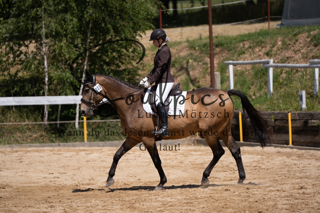 A7V08087 | Pferdefotograf