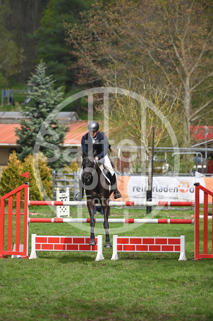 DSC_3922 | sattelsport - Realisiert mit Pictrs.com