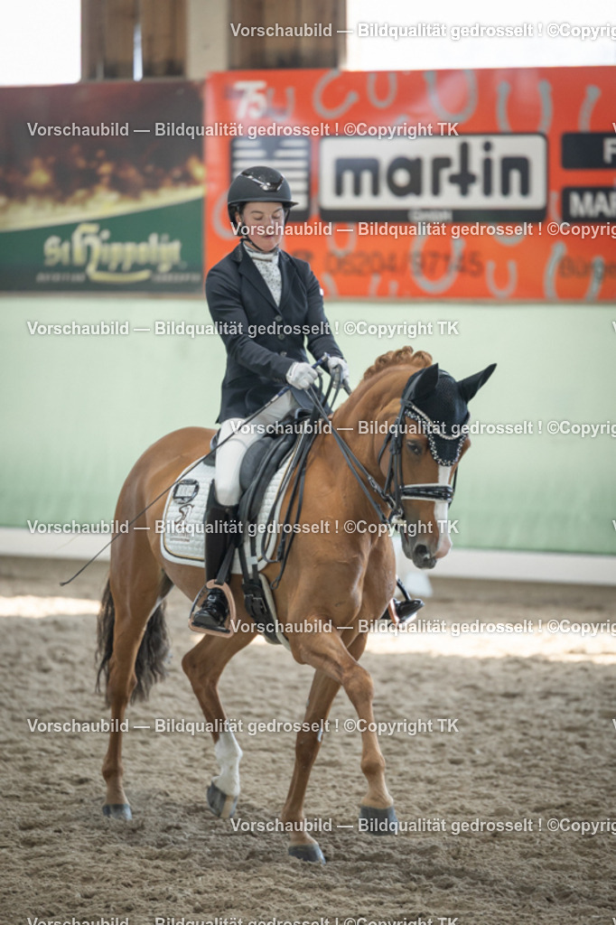 _D5A2573 | Emotionale Pferde- & People-Fotografie rund um Heidelberg, Leimen & Umgebung. Natürliche Fotos von Pferd, Mensch & Familie. Jetzt Termin sichern!