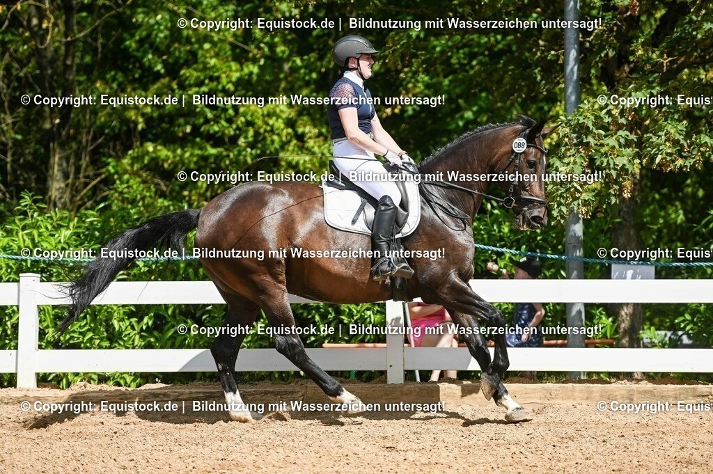 20230715_02_Dressurreiterprüfung Kl.L_0130 | equistock