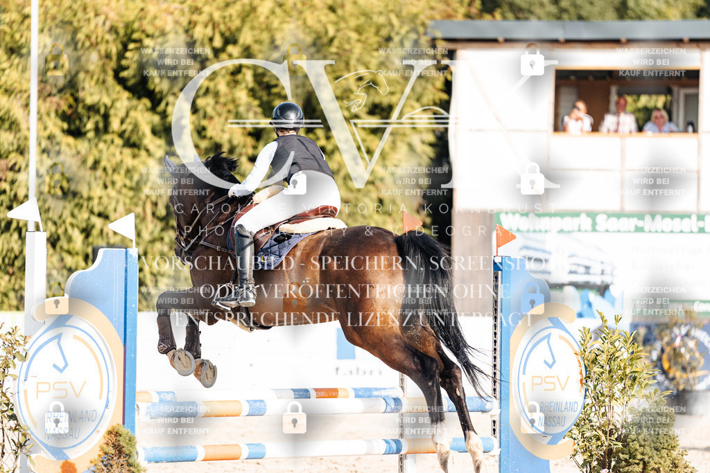CK909562 | Turnierfotografie Pferdefotografie Trier Rheinland-Pfalz Pferdesport Reitsport Tierfotografie Sportfotografie Pferdevideo Pferdevideografie Equestrianvideography equestrianphotography  - Realisiert mit Pictrs.com