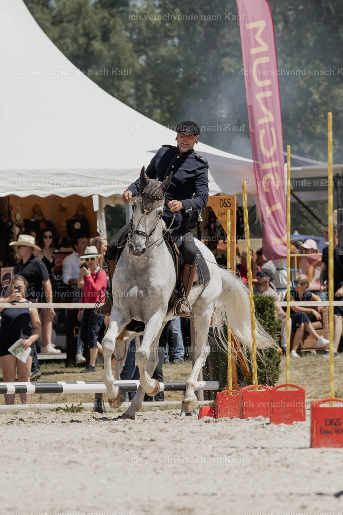 WE_SP_Stoib_327_PI2025_1915 | Pferd International München 2025