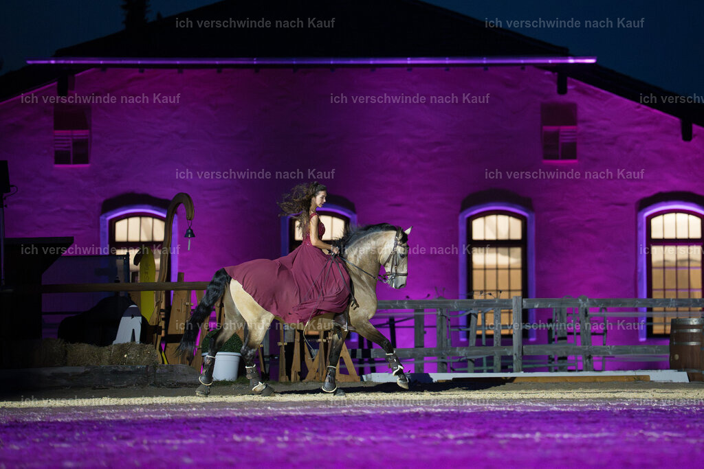 Gala-89 | working equitationturnier fotograf videograf stoibphotography marixx film working equitation deutschland reitsport turnierfotografie eventfotografie equestrian events