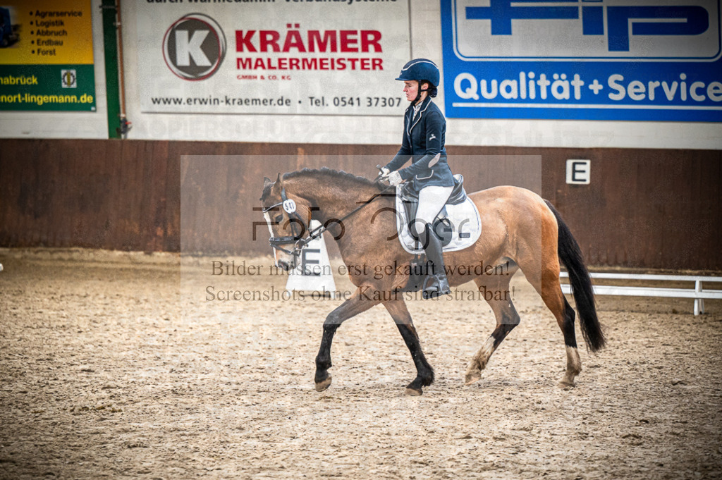 Hallenreittunier Voxtrup 2023 | Entdecke hochwertige Reitturnierfotos von Foto Oger. Professionell, emotional und authentisch – jetzt Lieblingsmomente im Shop bestellen.Deutschlandweite Turnierfotografie. - Realisiert mit Pictrs.com