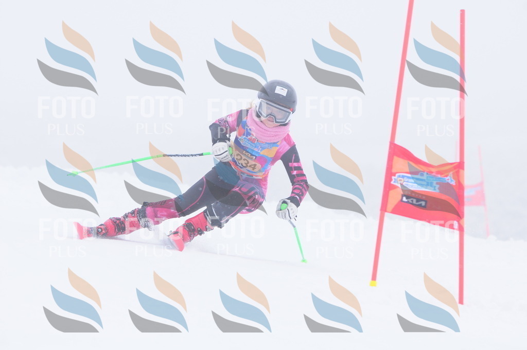 C2450 | holidayphoto